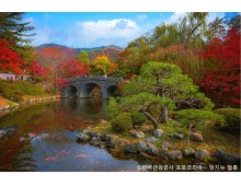 ◆가을맞이◆[수서출발-당일]경주 통일전 은행나무길/불국사 애기단풍