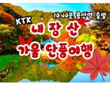 [수서역출발] KTX - 가을여행의 1번지!! 내장산(내장사)가을단풍 여행 (당일)-11:00