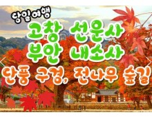 KTX - 고창 선운사 가을단풍 & 부안 내소사 * 전나무 숲길 여행 (당일)