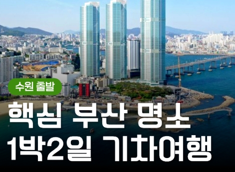 [KTX/수원출발] 부산 1박2일 여행 (용궁사/해운대/태종대/자갈치)-금.토.일 출발
