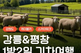 [KTX] 강릉(안목항&바다부채길) & 평창(발왕산&오대산) 1박2일 여행
