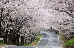 ◆지원특가◆[KTX-당일]*중식제공*월간경북-9월 영주/안동