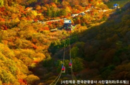 ◆가을맞이◆[수서출발-당일](1식포함)조선8경 오색단풍 내장산+익산 미륵사지