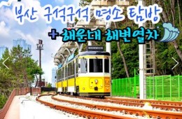 SRT - 부산 명소 탐방 & 해운대 해변열차 & 태종대 여행 (1박2일)-호텔급