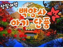 KTX - 천년 고찰!! 백양사 애기 가을단풍 여행(당일)