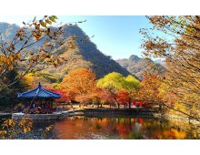 [국악와인열차] 11월 10,14,15,17일 정읍 내장산