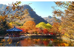 [국악와인열차] 11월 10,14,15,17일 정읍 내장산