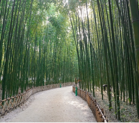 [KTX] 동해의 빛! 시간여행 경주+울산 태화강국가정원+부산 해변열차 기차여행 (1박2일)