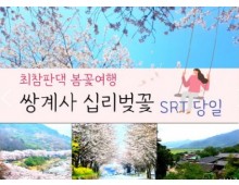 SRT - 환상의 쌍계사 십리벚꽃*화개장터 & 최참판댁 봄꽃여행(당일)