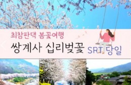 SRT - 환상의 쌍계사 십리벚꽃*화개장터 & 최참판댁 봄꽃여행(당일)