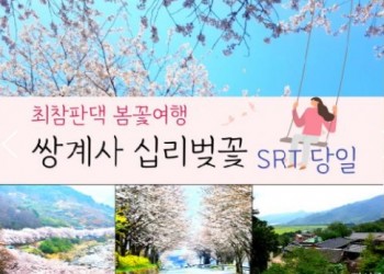 SRT - 환상의 쌍계사 십리벚꽃*화개장터 & 최참판댁 봄꽃여행(당일)