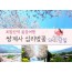 SRT - 환상의 쌍계사 십리벚꽃*화개장터 & 최참판댁 봄꽃여행(당일)