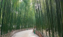 [KTX] 동해의 빛! 시간여행 경주+울산 태화강국가정원+부산 해변열차 기차여행 (1박2일)