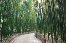 [KTX] 동해의 빛! 시간여행 경주+울산 태화강국가정원+부산 해변열차 기차여행 (1박2일)