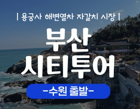 [KTX/수원출발] 부산시티투어 2탄 (용궁사&해운대 해변열차) 당일 기차여행-중식포함