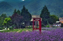 동해바다 고성 화진포&금강산 건봉사&속초 바다정원 당일