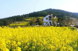 [ITX-새마을]청산도*완도*해남 대흥사 1박2일 (청산도 내 숙박) 3월부터~