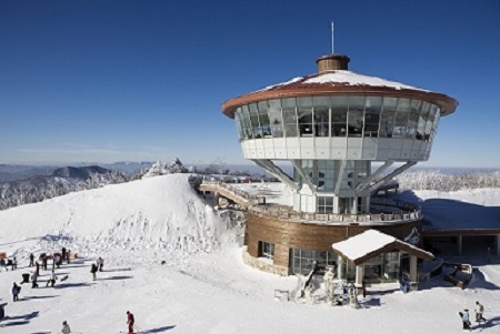 A-train/KTX- 정선하이원 곤돌라 & 동해산타열차ㆍ정동진 밤바다 기차여행(당일)