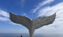[용산역/청량리역출발] 동해바다 고성 화진포&금강산 건봉사&속초 바다정원 당일