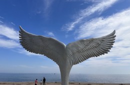 [용산역/청량리역출발] 동해바다 고성 화진포&금강산 건봉사&속초 바다정원 당일