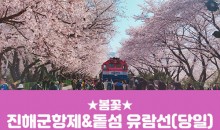 [경상권/충청권/수도권출발] 진해군항제&돝섬 유람선(당일)