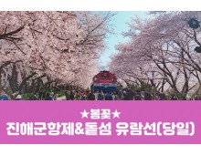 [경상권/충청권/수도권출발] 진해군항제&돝섬 유람선(당일)