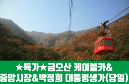 ★[구미편]금오산 케이블카&해운사 대혜폭포(당일)