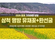 [수도권/충청권/경상권출발] [동해해변열차]삼척 맹방 유채꽃&환선굴(당일)