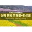 [수도권/충청권/경상권출발] [동해해변열차]삼척 맹방 유채꽃&환선굴(당일)