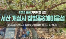 [경상권/충청권/호남권/수도권출발] 서산 개심사 청벚꽃,겹벚꽃&해미읍성(당일)