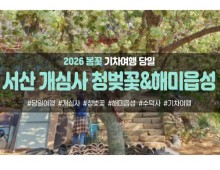 [경상권/충청권/호남권/수도권출발] 서산 개심사 청벚꽃,겹벚꽃&해미읍성(당일)