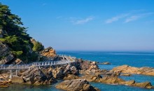 [경상권출발]강릉 안목해변&정동진 바다부채길(당일)