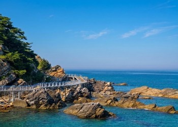 [경상권출발]강릉 안목해변&정동진 바다부채길(당일)