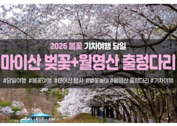 [수도권/충청권/경상권출발]★봄꽃★마이산 탑사 벚꽃&월영산 출렁다리(당일)