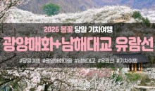 [경상권출발]광양매화마을&남해대교 유람선(당일)