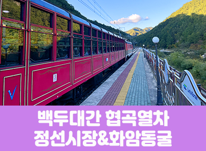 [경상권]백두대간협곡열차&정선5일장,화암동굴(당일)