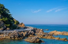 [수도권,대전출발]강릉 안목해변&정동진 바다부채길(당일)