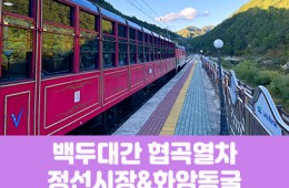 [경상권]백두대간협곡열차&정선5일장,화암동굴(당일)