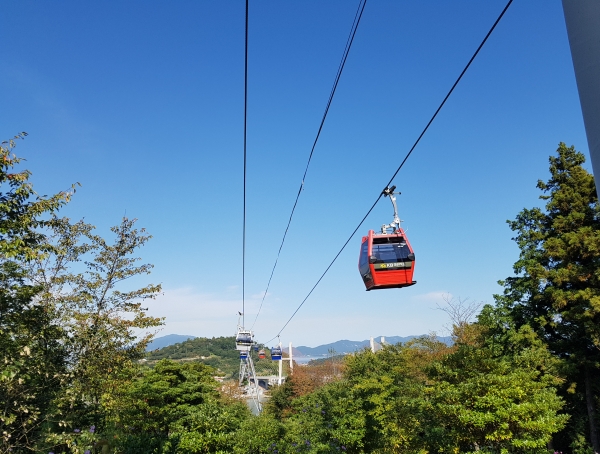 [부전역출발] 여수 알짜베기 당일투어!! (요트세일링~수산시장~해상케이블카~오동도)