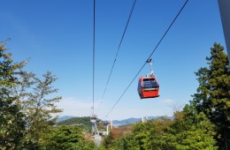 [부전역출발] 여수 알짜베기 당일투어!! (요트세일링~수산시장~해상케이블카~오동도)