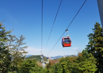 [수도권/충청권/호남권출발] 여수 알짜베기 당일투어!! (요트세일링~수산시장~해상케이블카~오동도)