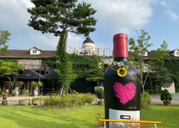 [국악와인열차] 3월 7,24일 영동 와이너리 / 김천 직지사+사명대사공원