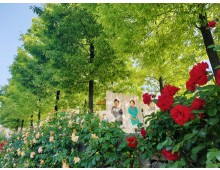 [국악와인열차] 5월 25, 31일 곡성 세계장미축제 / 남원 지리산 허브밸리