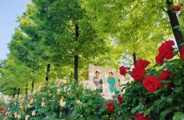 [국악와인열차] 5월 25, 31일 곡성 세계장미축제 / 남원 지리산 허브밸리