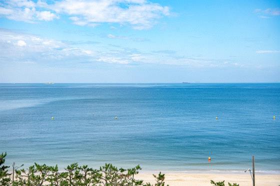 [5명이상 무조건출발] [서해금빛열차] 소규모로 즐기는 보령자유여행 (교통/입장료포함)