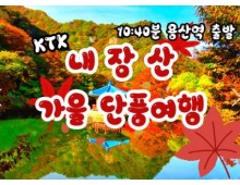 KTX - 가을여행의 1번지!! 내장산(내장사)가을단풍 여행 (당일)- 10:32