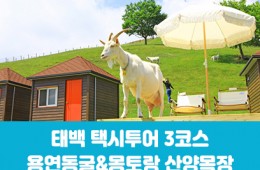 [태백택시투어 3코스]용연동굴&몽토랑 산양목장(당일)