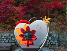 [KTX이음] 백두대간 협곡열차 가을 단풍 하루 기차여행 (부산출발)