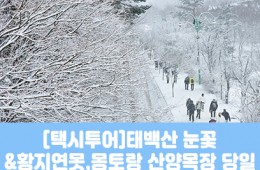 ★겨울눈꽃★[태백택시투어]태백산 눈꽃&황지연못(당일)