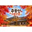 [수도권/충청권/호남권/경산권출발] ★가을단풍★주왕산&주산지(당일)
